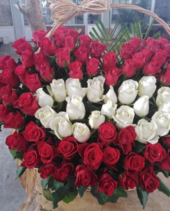 Korpa srce sa 101 belom i crvenom ružom