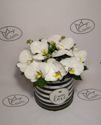 Box Box of flowers sa orhidejama